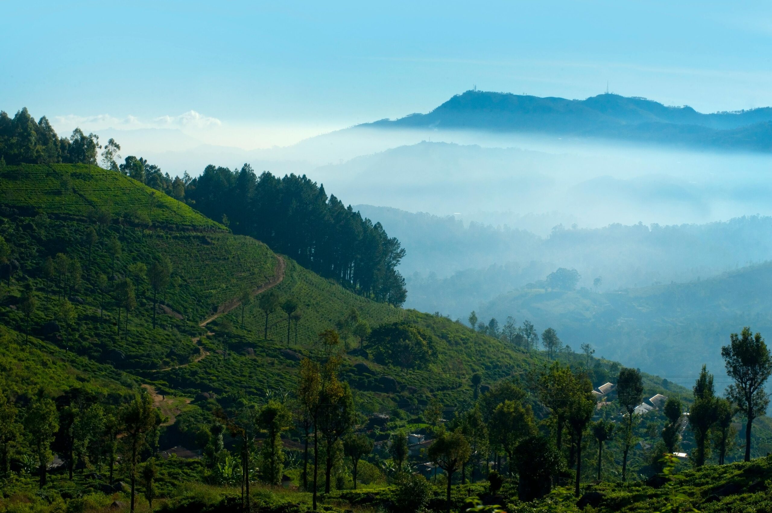 Top Attractions in Sri Lanka’s Hill Country